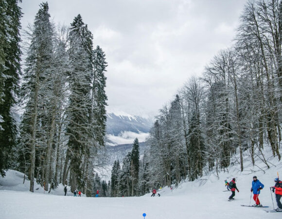 Serene Almaty