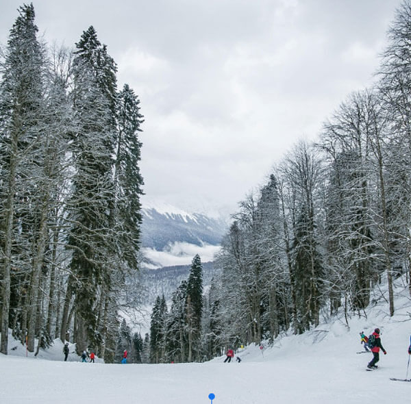 Almaty 